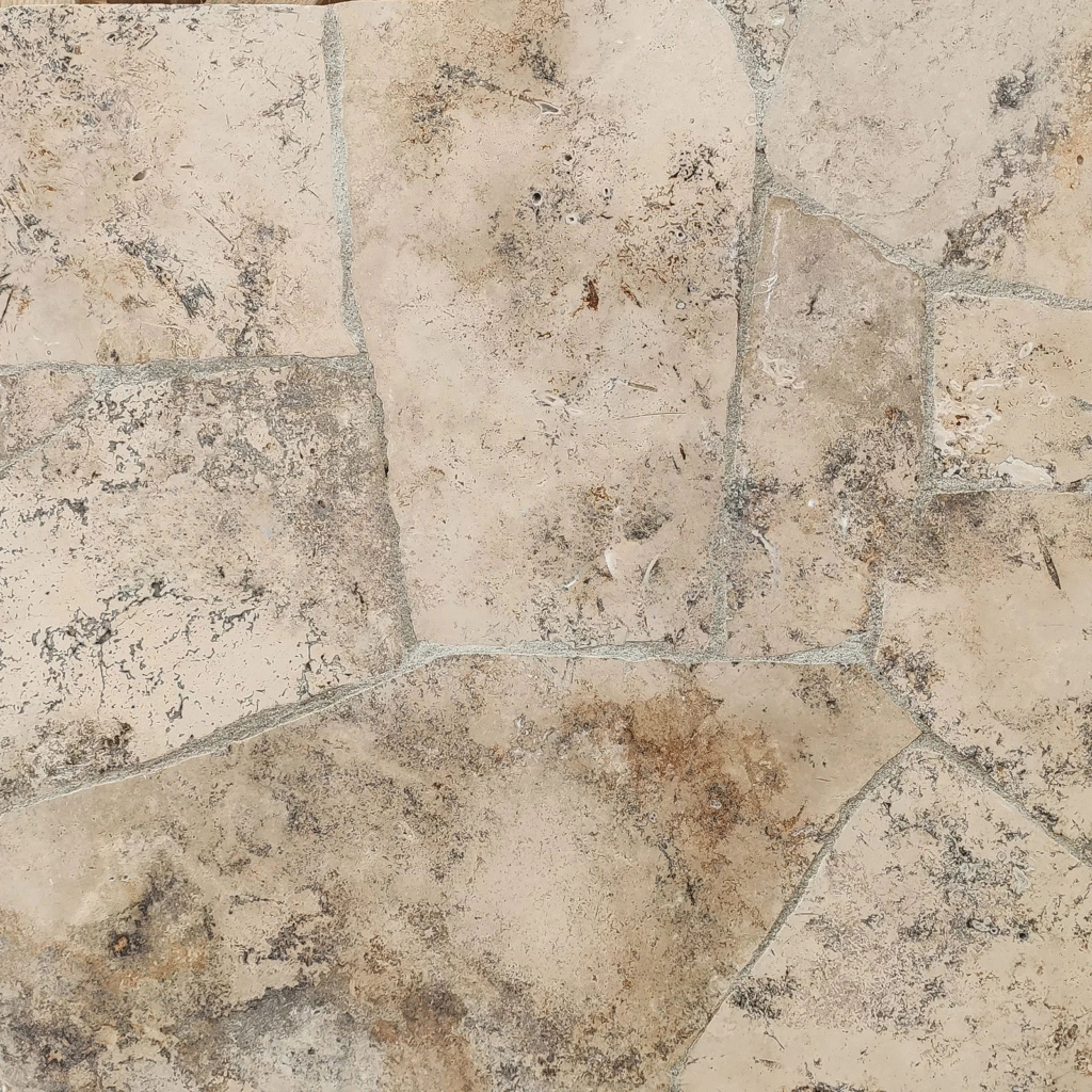 whatsapp image 2025 09 08 at 10.28.55 am (1)