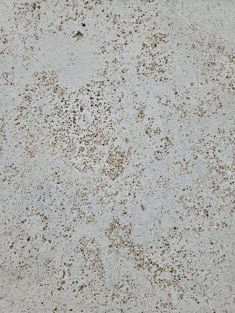 photo 6030697025403734283 y